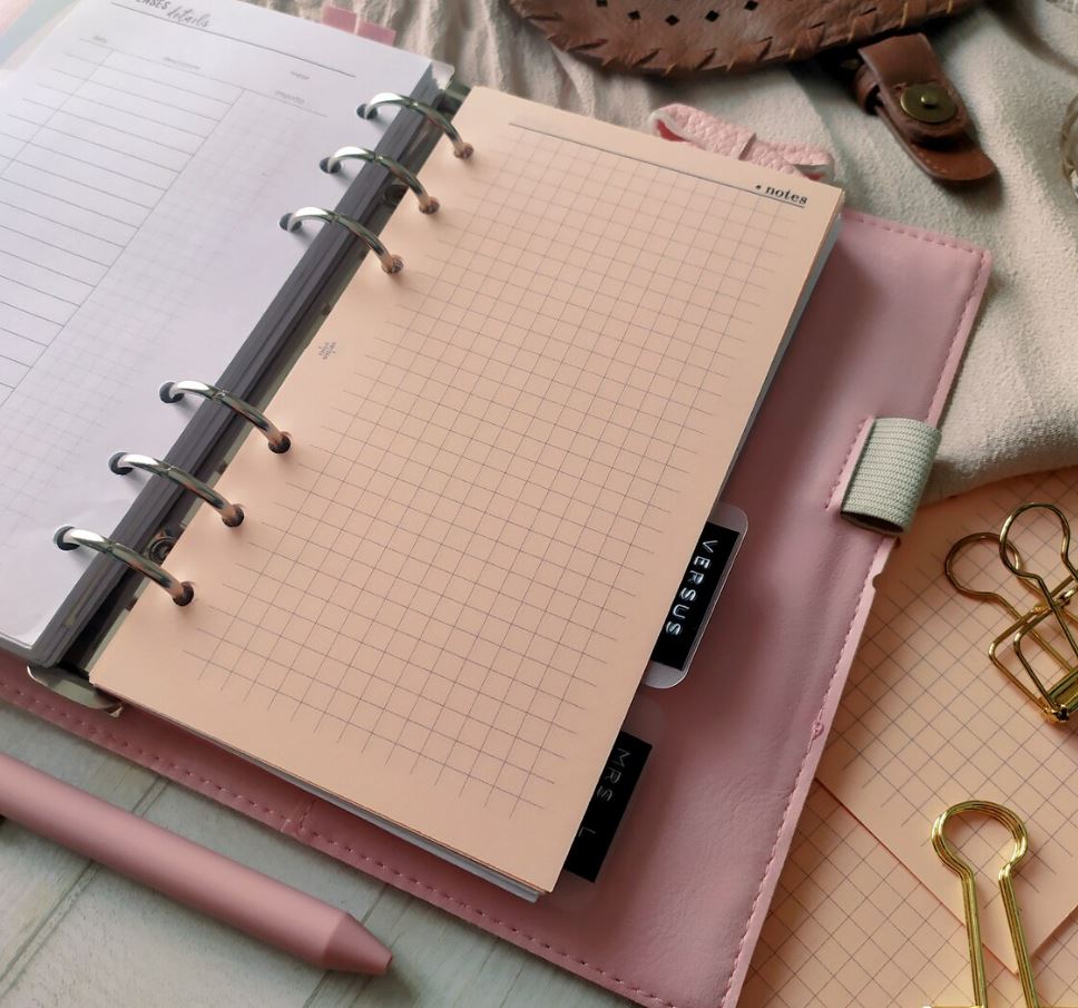 Inserti Notes A Quadretti Per Agende a 6 Anelli, in Carta Colorata Pesca, Fronte e Retro