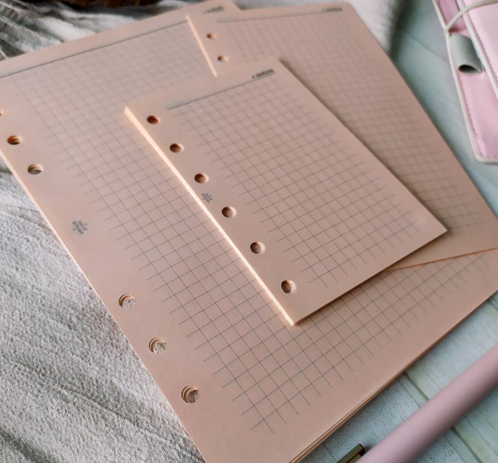Inserti Notes A Quadretti Per Agende a 6 Anelli, in Carta Colorata Pesca, Fronte e Retro