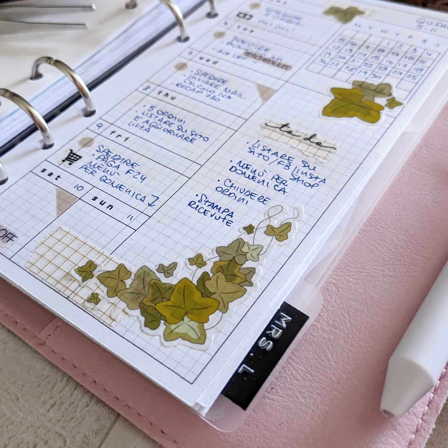 Transparent Ivy Stickers, Clear Nature Sticker Pack, Botanic Branches Frames