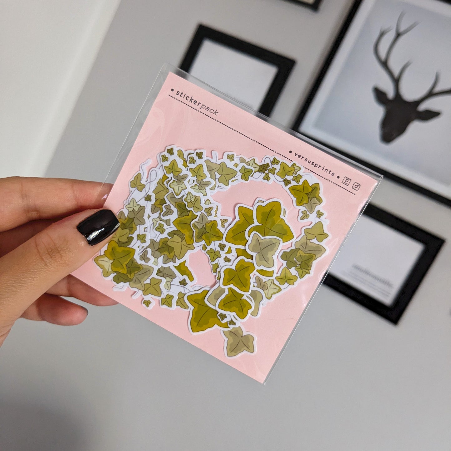 Transparent Ivy Stickers, Clear Nature Sticker Pack, Botanic Branches Frames