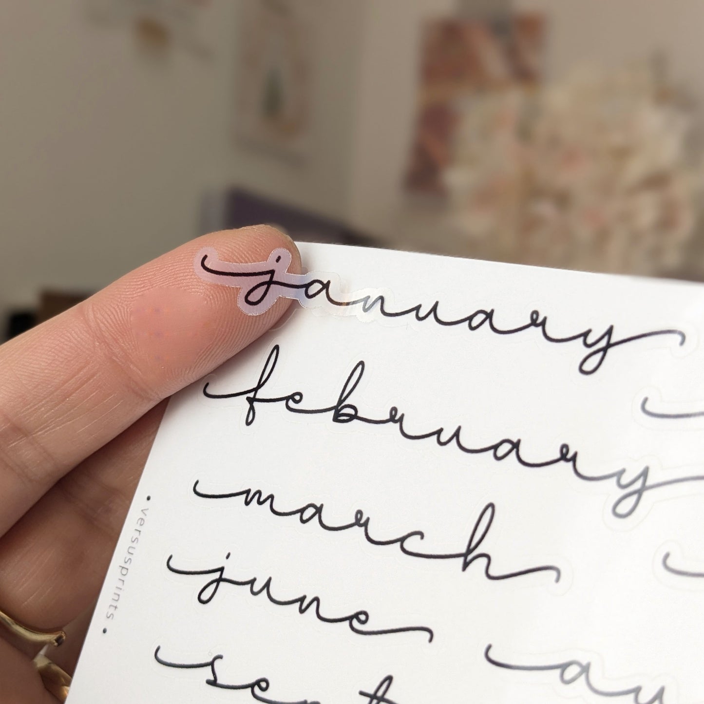 Clear Monthly Stickers for Journals and Planners, Script Text