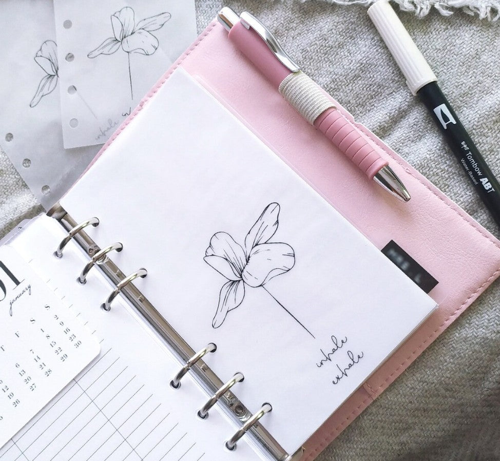 Dashboard in Carta Vellum, Inserto Minimal e Delicato