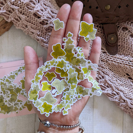 Transparent Ivy Stickers, Clear Nature Sticker Pack, Botanic Branches Frames